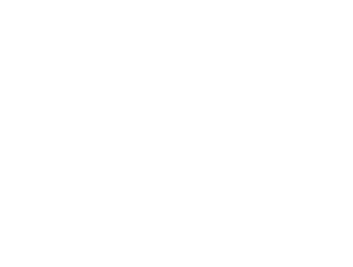 4-lead